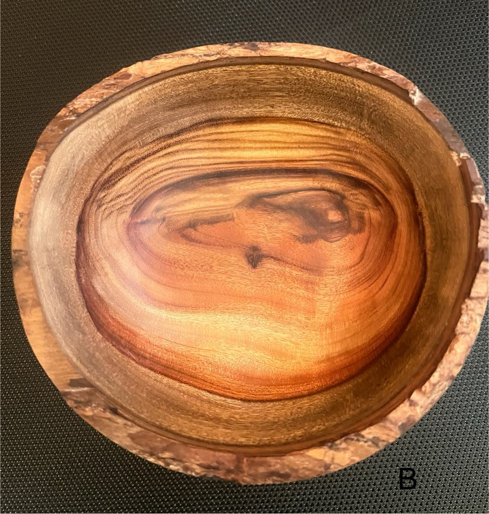Camphor Laurel Bowl