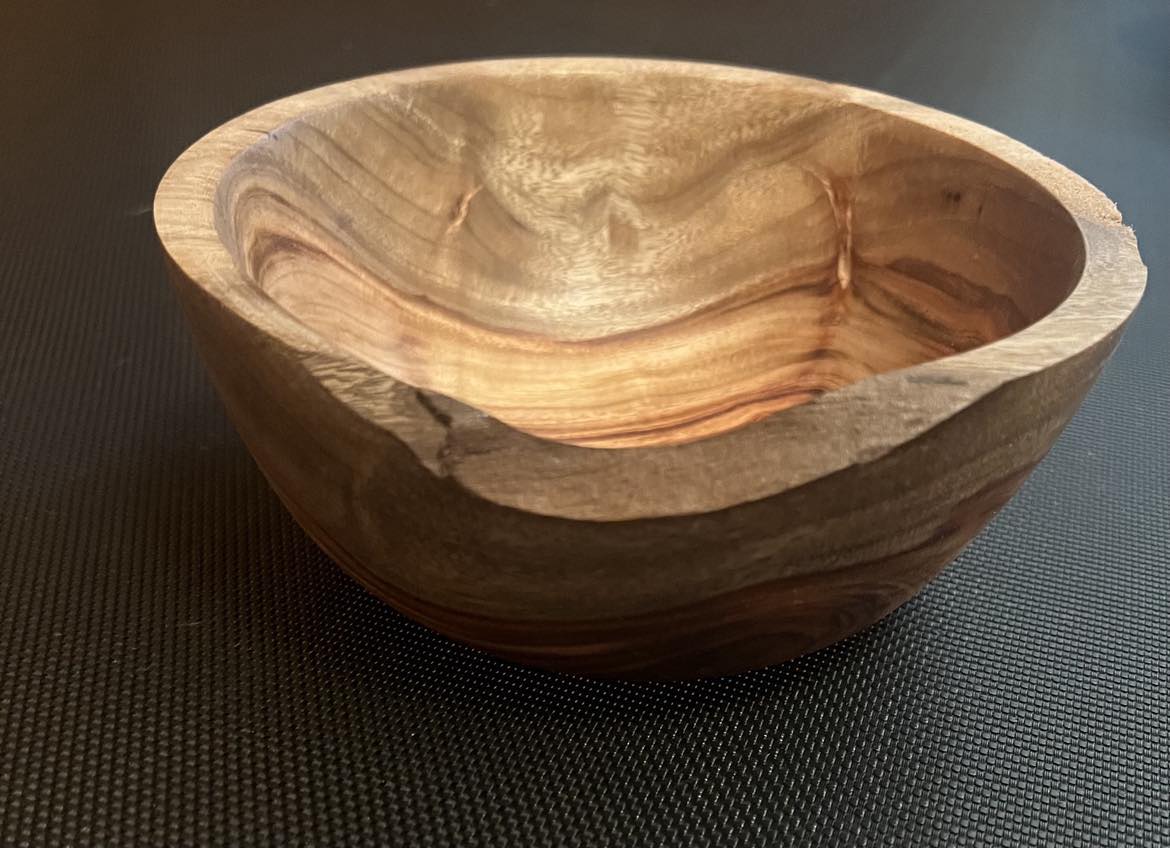 Camphor Laurel Bowl