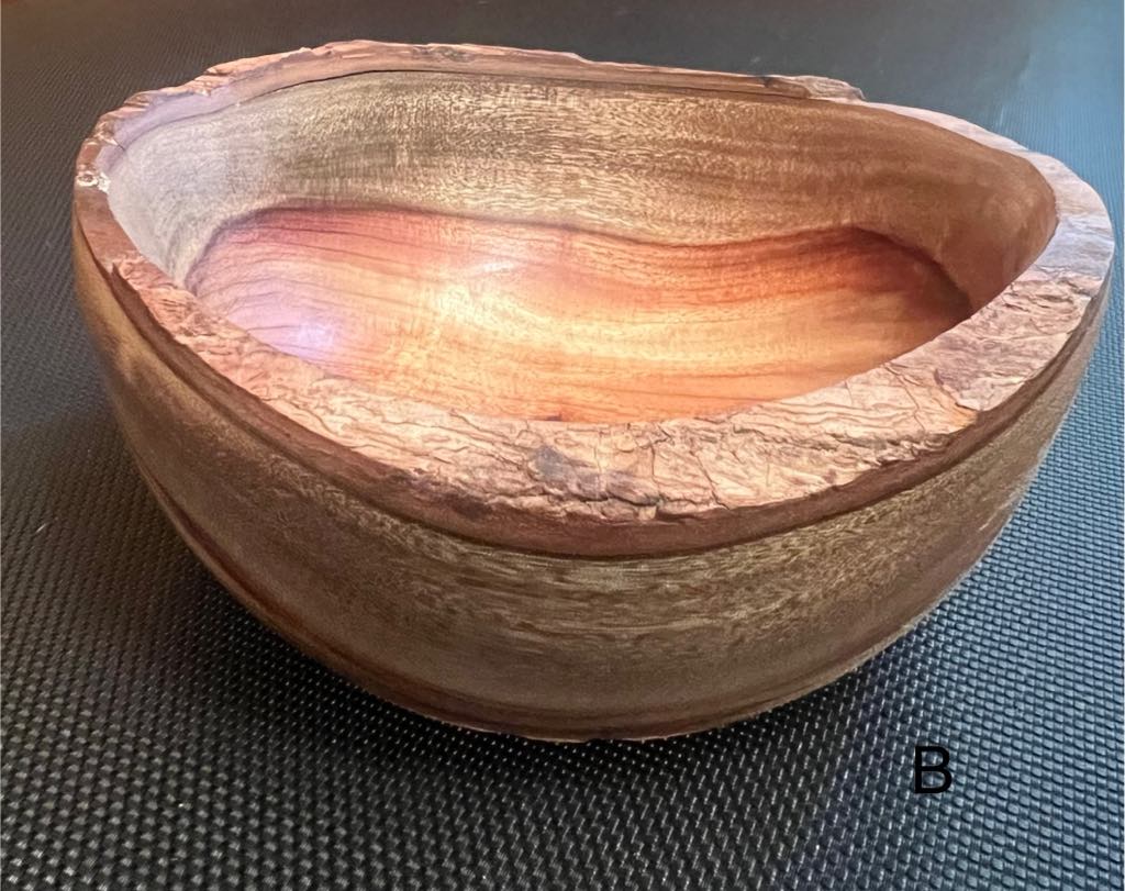 Camphor Laurel Bowl